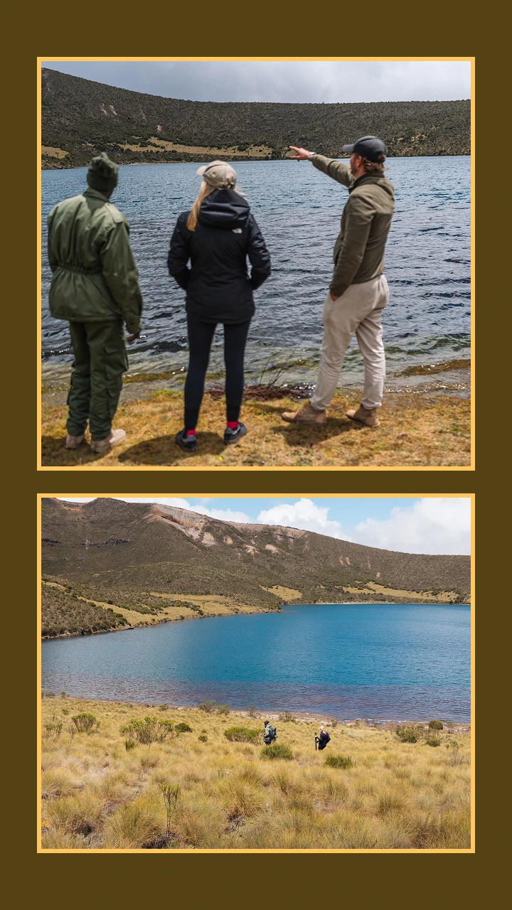 Collage of Lake Alice