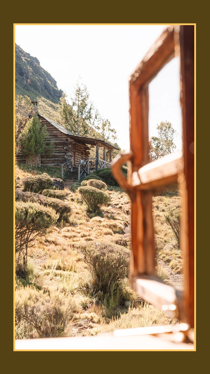 View of the cabin 