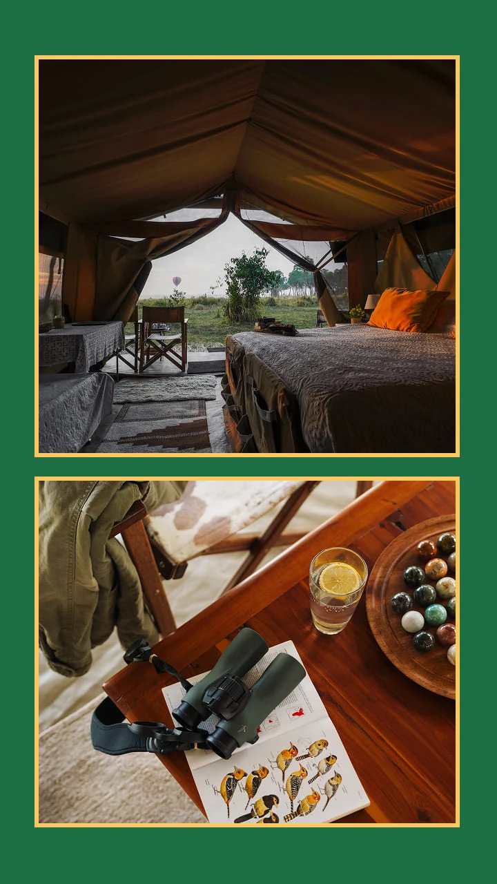 Collage of accomation bedroom and binoculars for birdwatching
