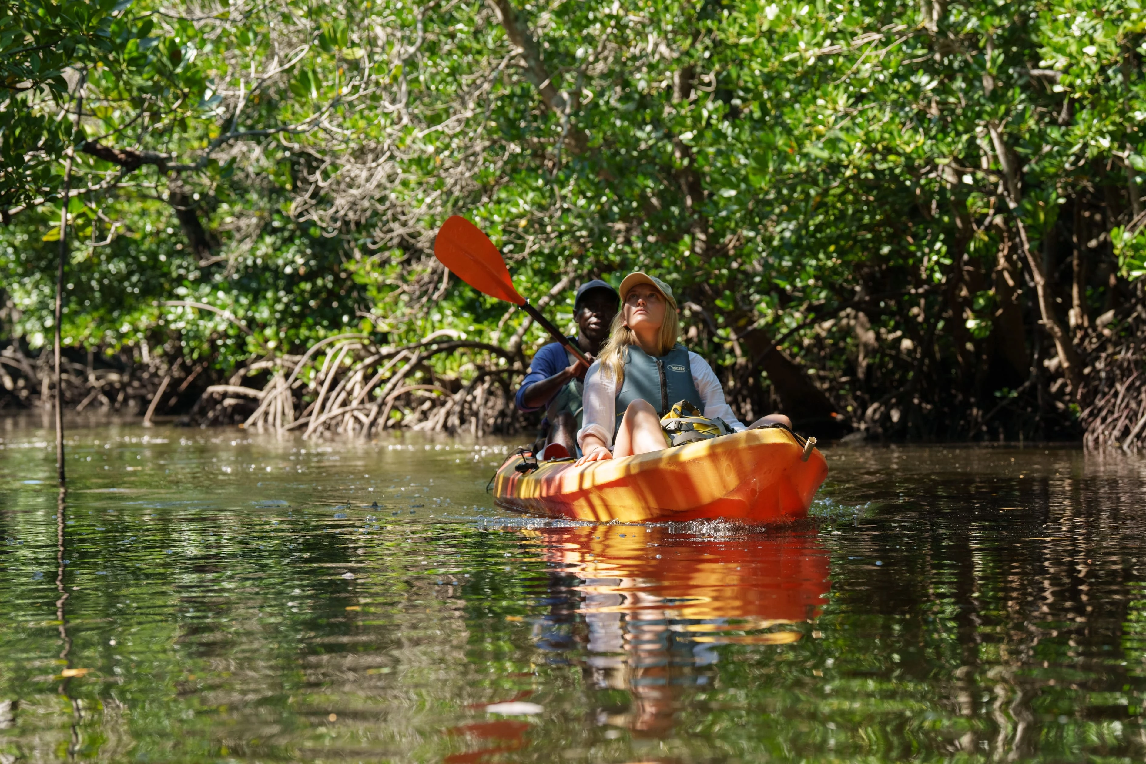 Kayaking through the mangroves