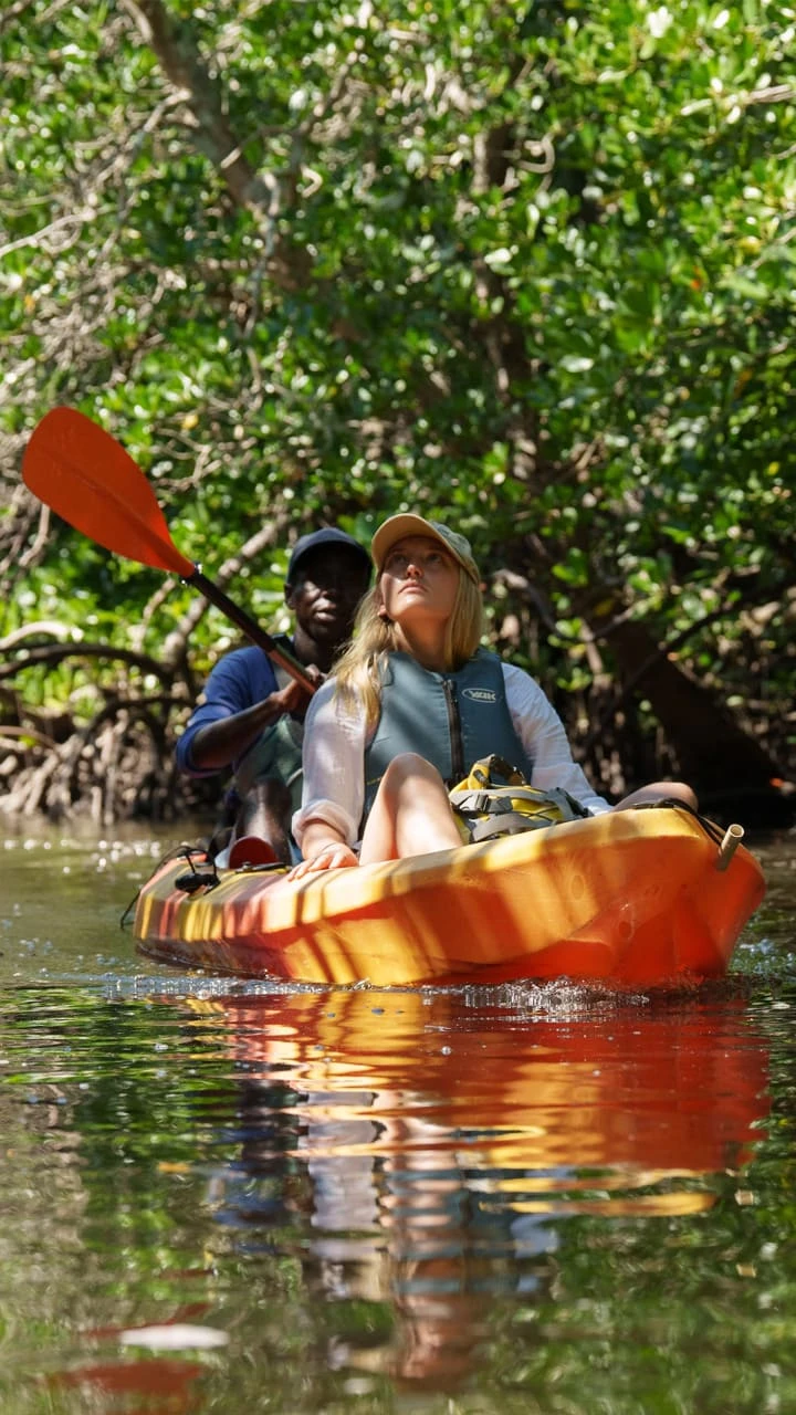 Kayaking through the mangroves