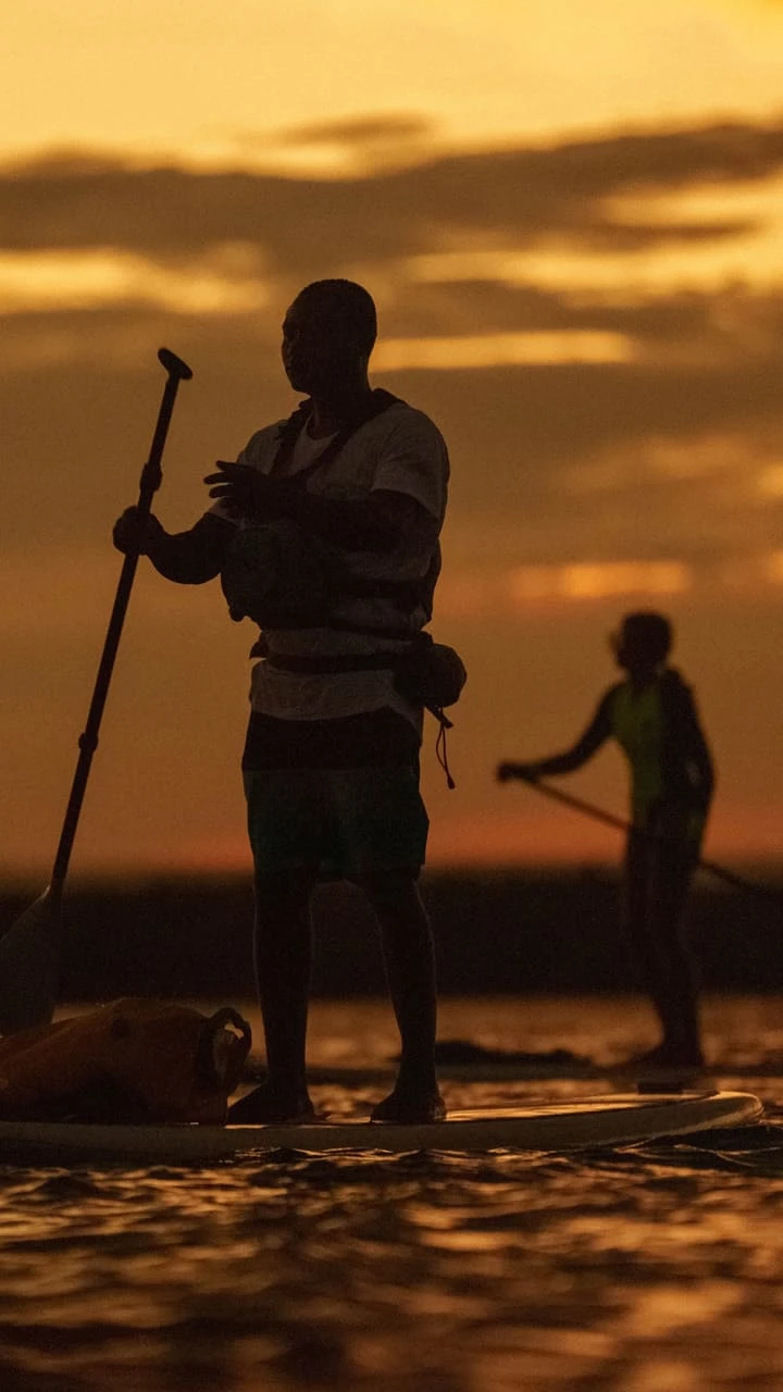 Paddleboarding at sunset