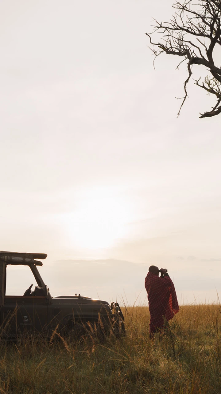 Safari in Mara