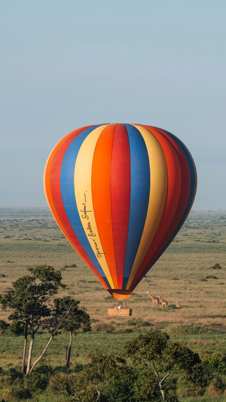 Hot air balloon above the giraffes